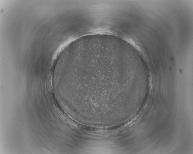 X0000059241358200510281920