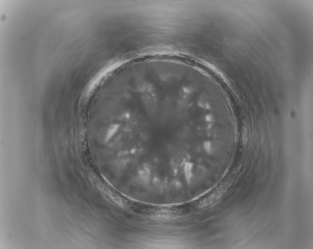 X0000059241359200510281920