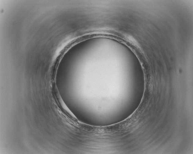 X0000059241360200510281920