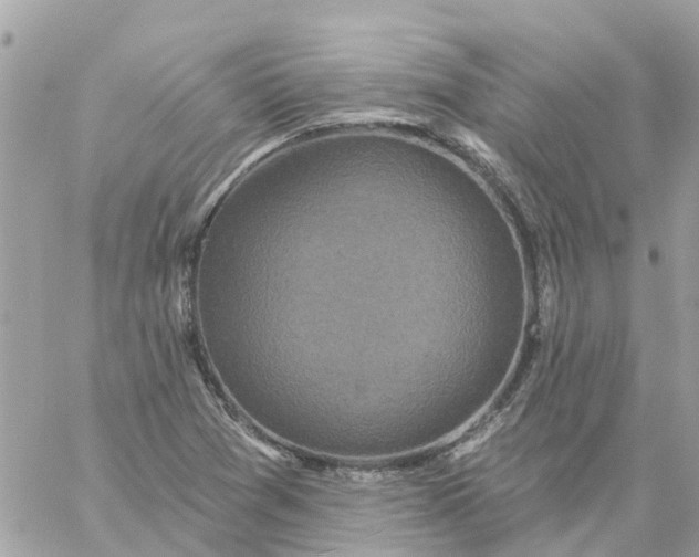 X0000059241361200510281920