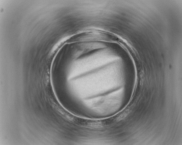 X0000059241363200510281920