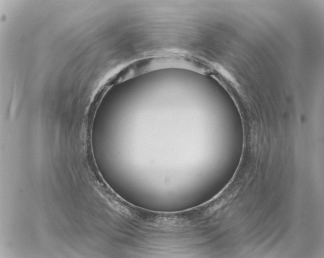 X0000059241364200510281920