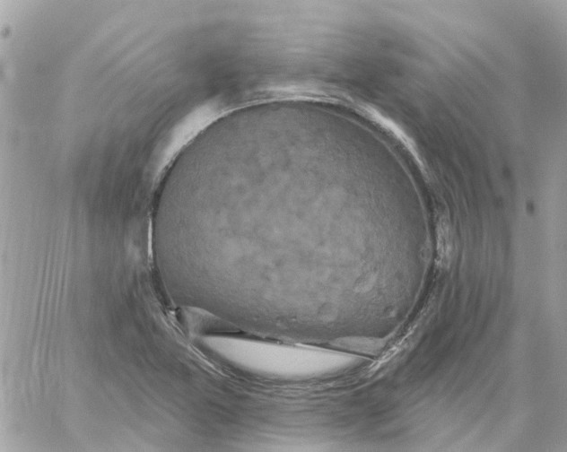 X0000059241365200510281920