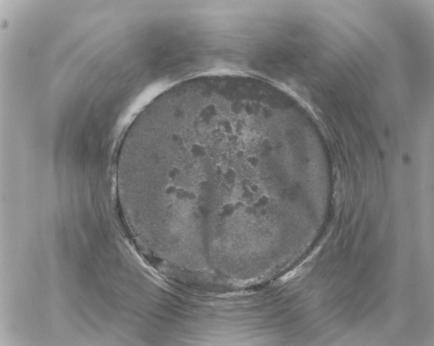 X0000059241367200510281920