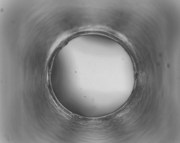 X0000059241368200510281920