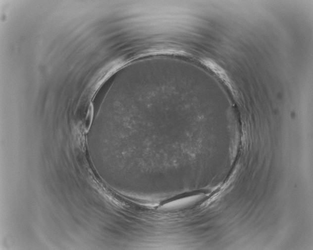 X0000059241369200510281920