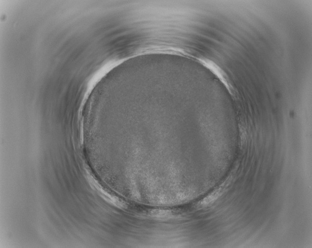 X0000059241371200510281920