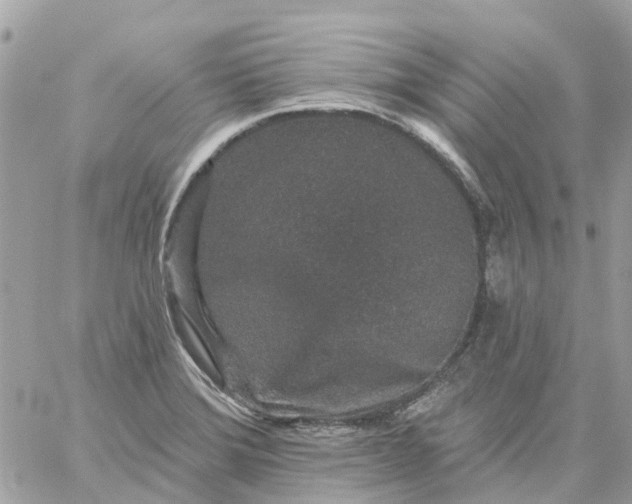 X0000059241372200510281920