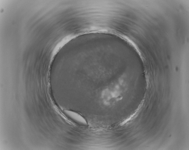 X0000059241373200510281920