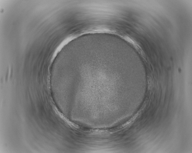 X0000059241374200510281920