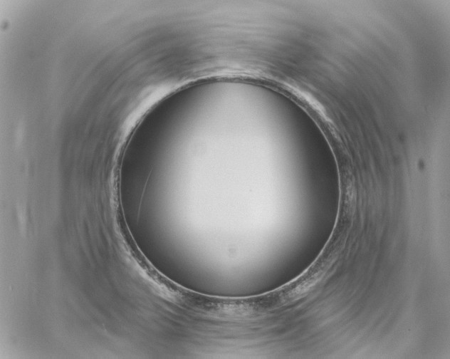 X0000059241375200510281920