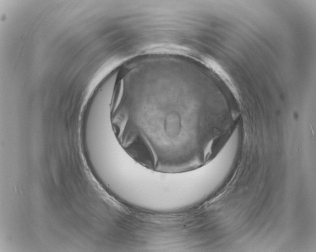 X0000059241376200510281920