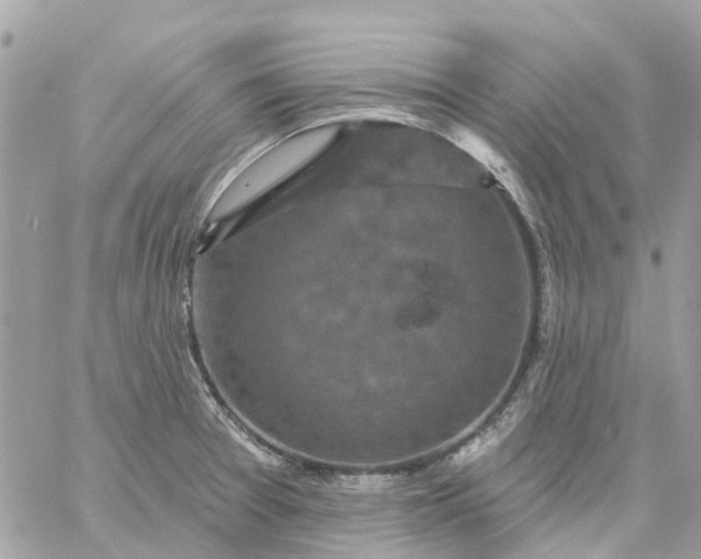 X0000059241377200510281920