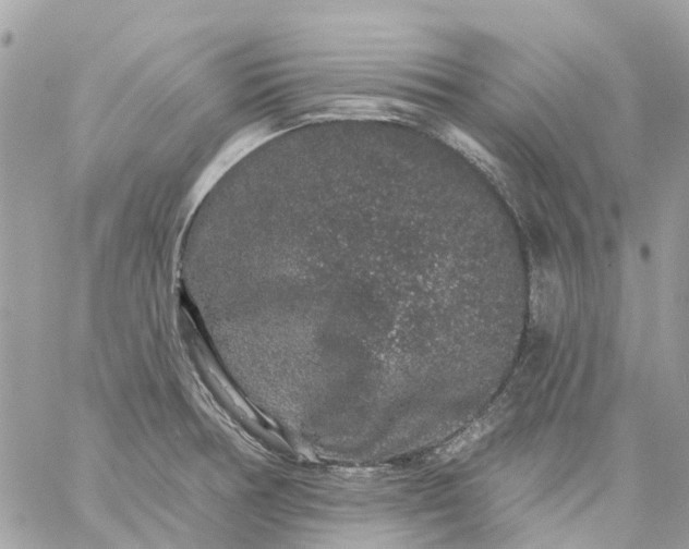 X0000059241378200510281920