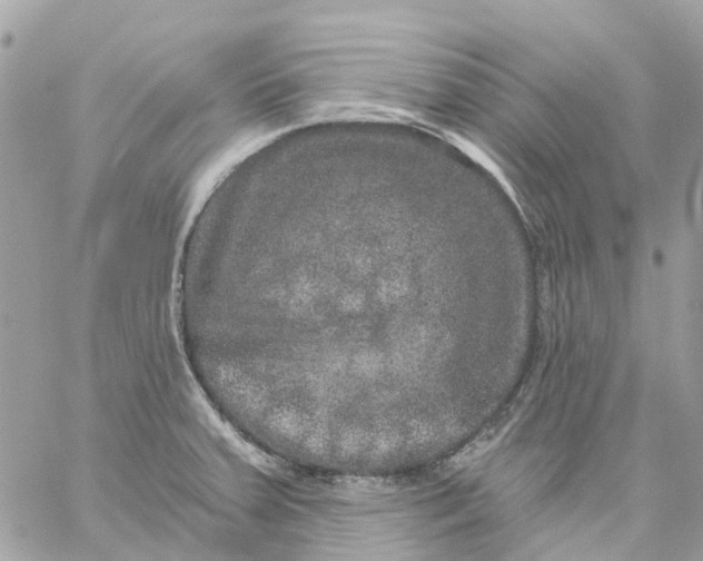 X0000059241379200510281920