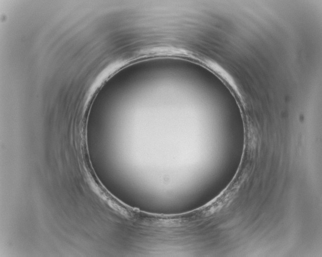 X0000059241381200510281920