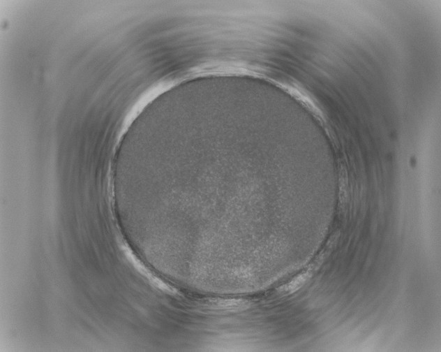 X0000059241382200510281920