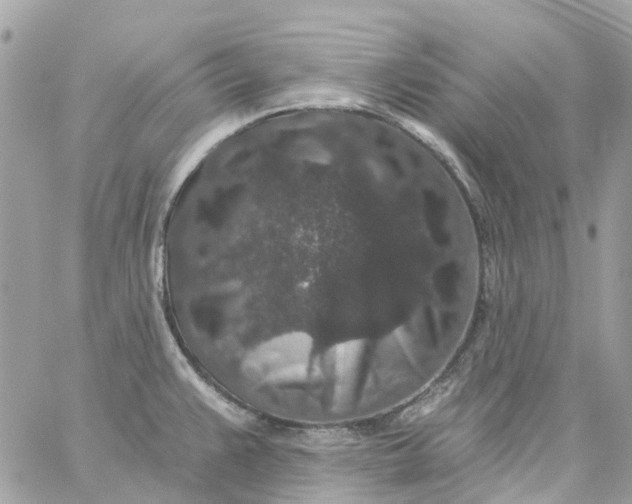 X0000059241383200510281920