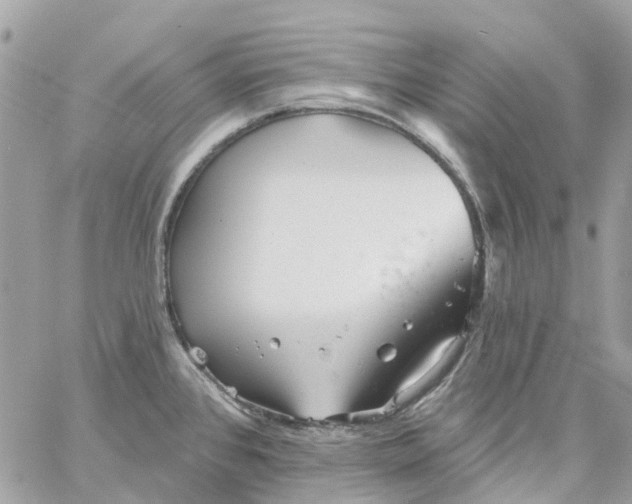 X0000059241384200510281920