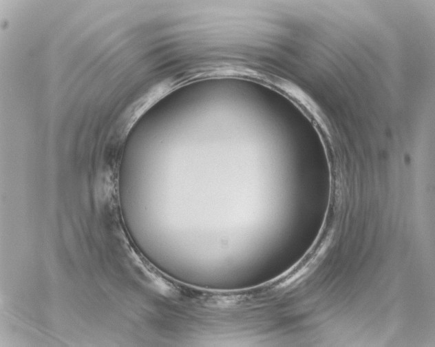 X0000059241385200510281920