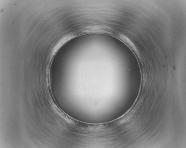 X0000059241386200510281920