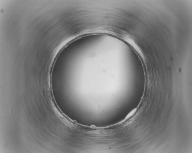 X0000059241388200510281919