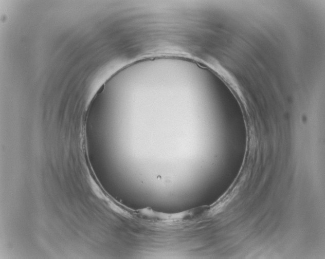 X0000059241390200510281919