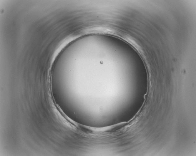 X0000059241392200510281919