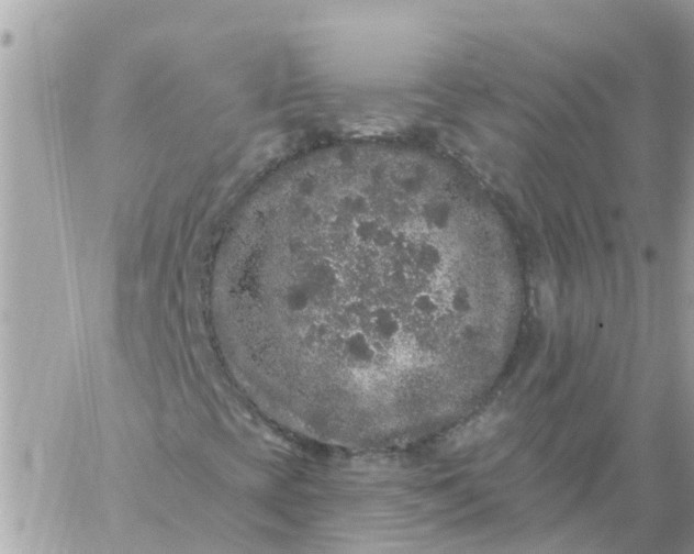 X0000059241393200510281919