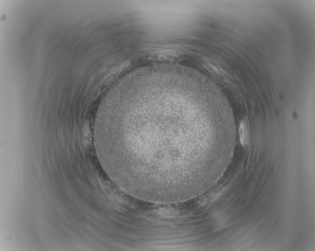 X0000059241395200510281919