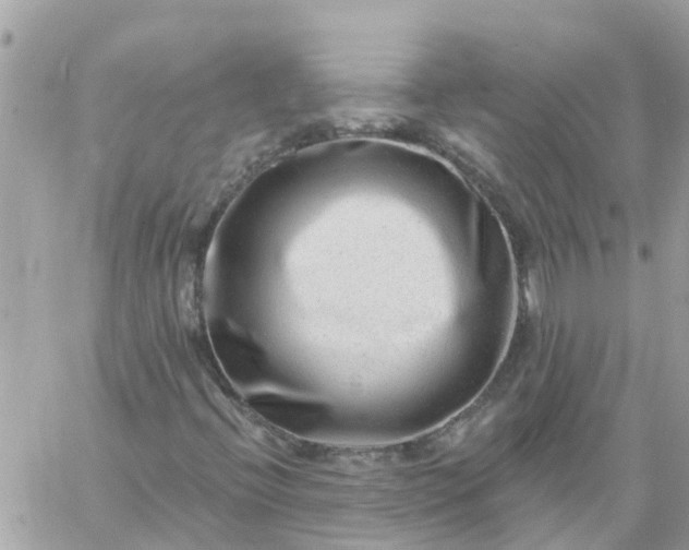 X0000059241396200510281919