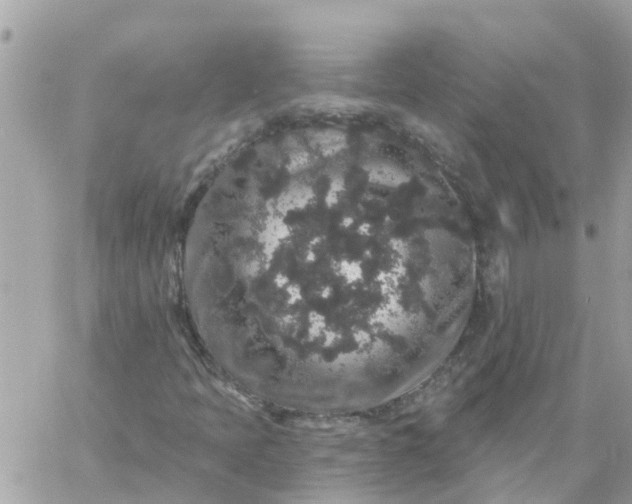 X0000059241397200510281919