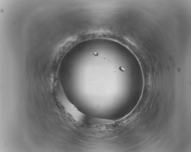 X0000059241398200510281919