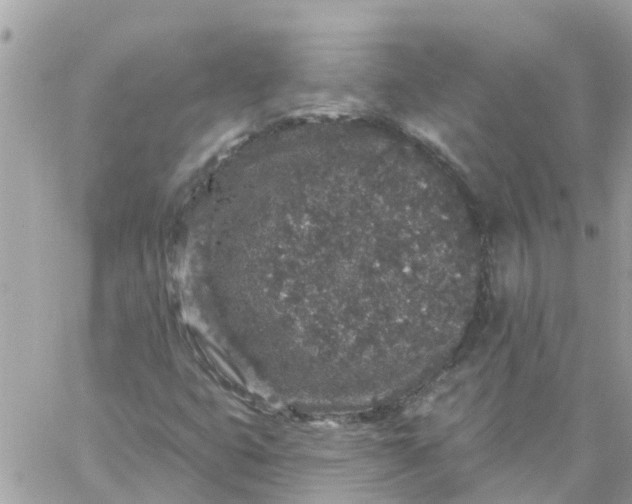 X0000059241399200510281919