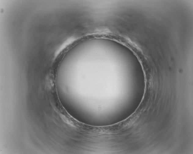 X0000059241400200510281919