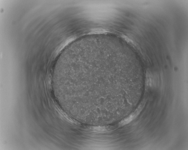 X0000059241401200510281919