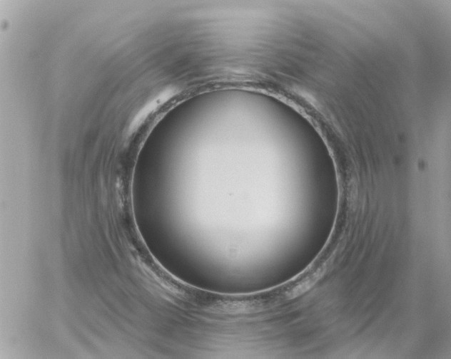 X0000059241402200510281919