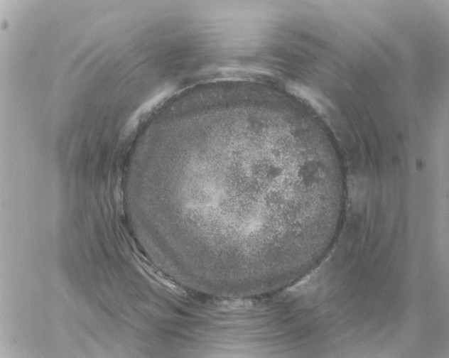 X0000059241403200510281919