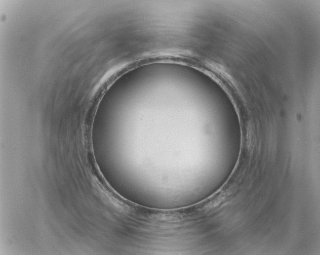 X0000059241404200510281919