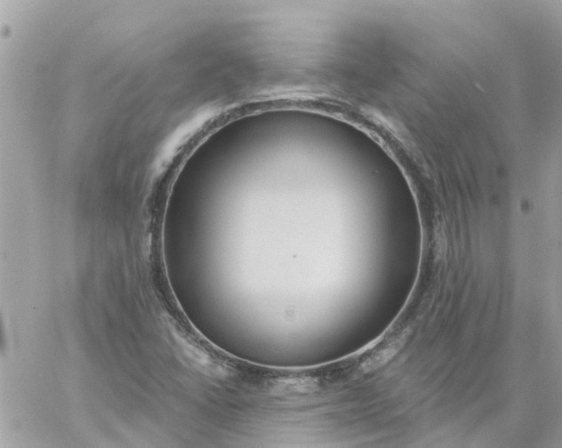 X0000059241406200510281919