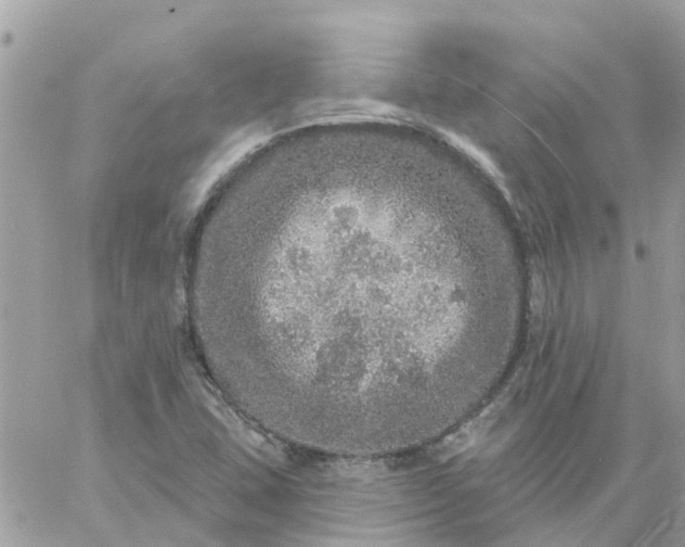 X0000059241407200510281919