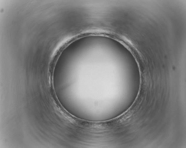 X0000059241408200510281919