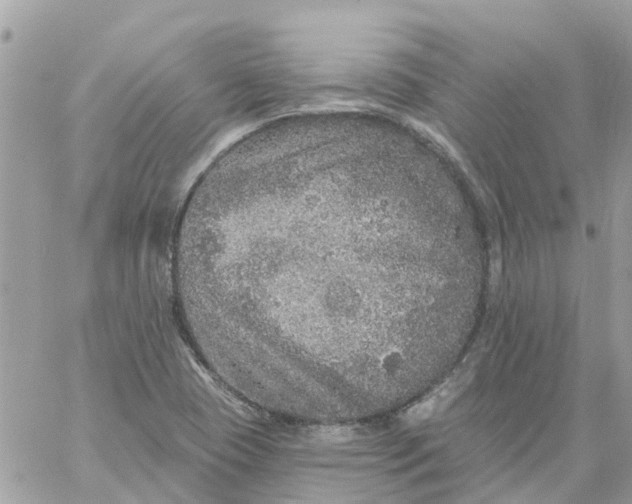 X0000059241409200510281919