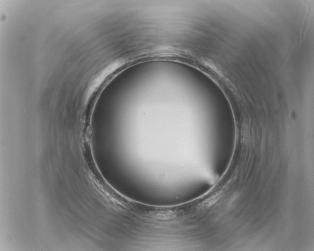 X0000059241410200510281919