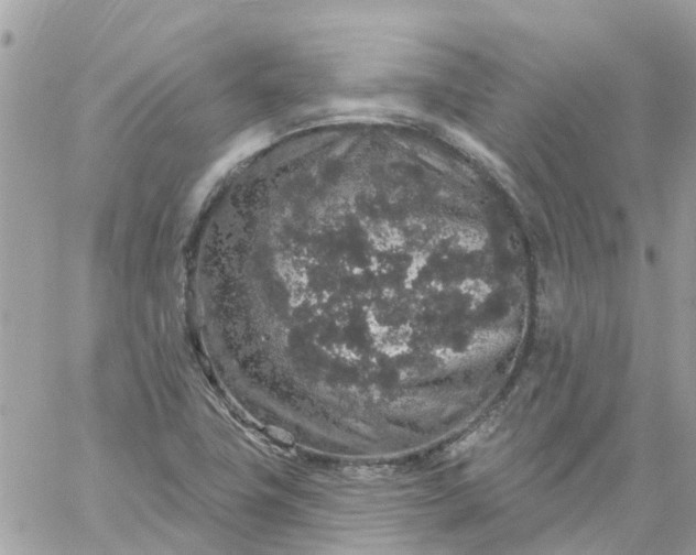 X0000059241411200510281919