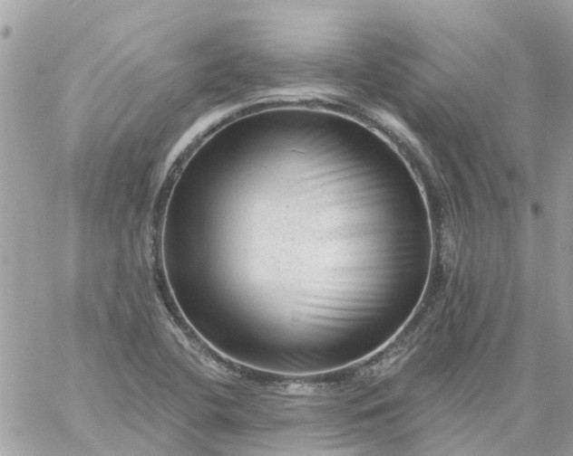 X0000059241412200510281919