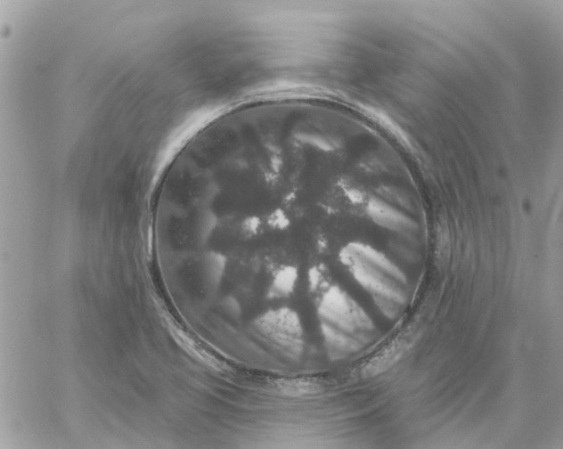 X0000059241413200510281919