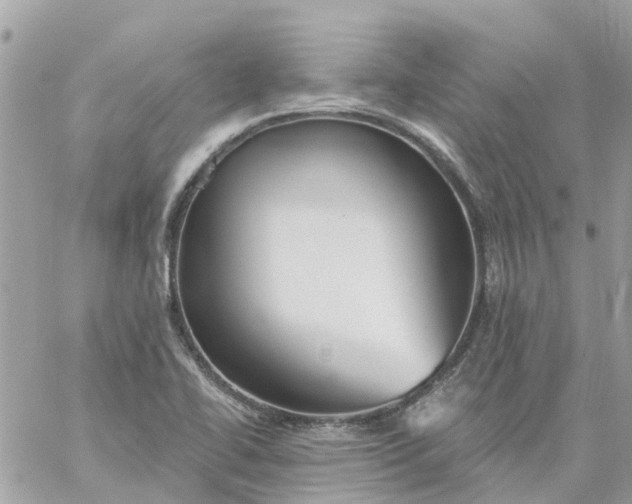 X0000059241414200510281919