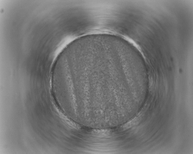 X0000059241415200510281919