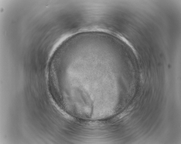 X0000059241416200510281919